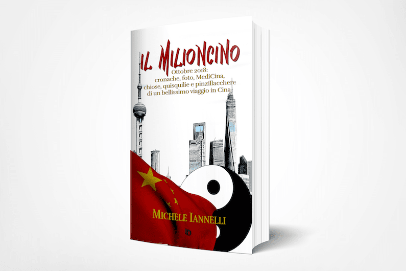 Copertine del libro Il Milioncino