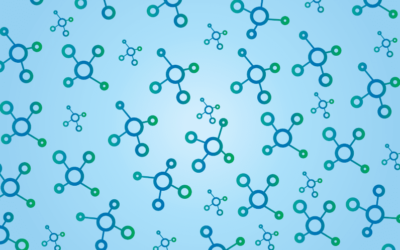 MINERALOGRAMMA: OBIETTIVO BIODISPONIBILITA’