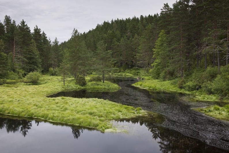 IL LAGO KLAMATH: CULLA DELL’ALGA SUPERNUTRIENTE